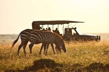 Elephant Pepper Camp Maasai Mara Eksteriør billede